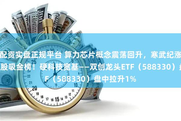 配资实盘正规平台 算力芯片概念震荡回升，寒武纪涨超3%登顶A股吸金榜！硬科技宽基——双创龙头ETF（588330）盘中拉升1%